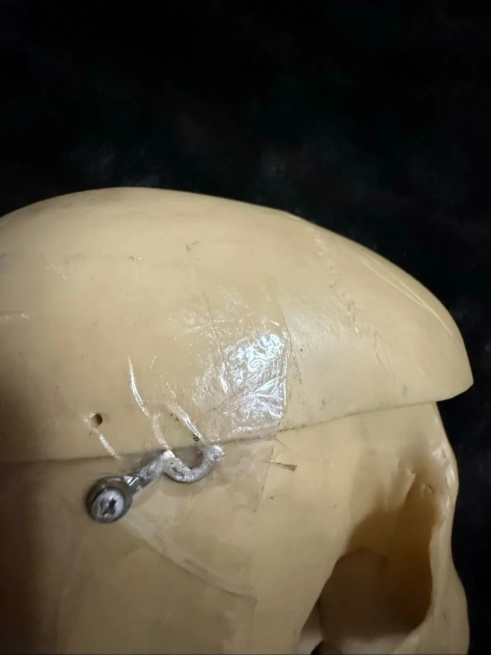 Skull Resin Halloween Prop Treasures Home Decor skeleton